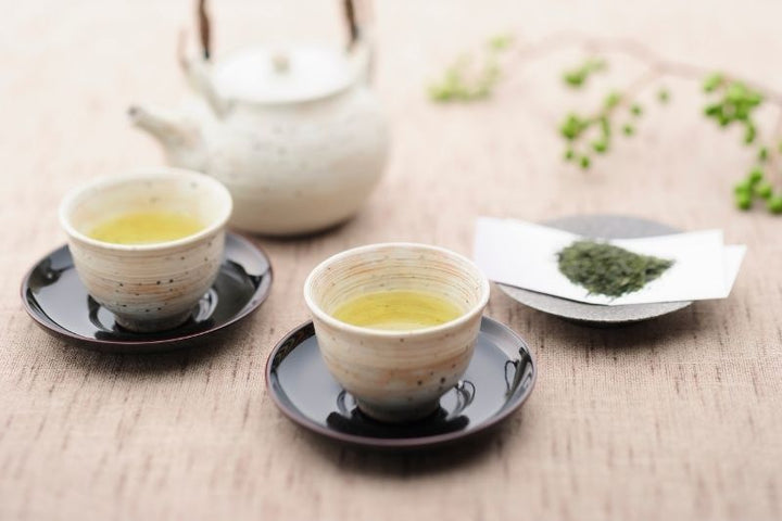 Import Organic Japanese Tea to Russia