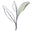 Buy Premium Shizuoka Green Tea logo
